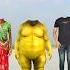 Old Buddhi Yellow Fate Dog Cute Bro Carret Head Machine With Tu Radha Meri Main Song Short
