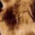 System Of A Down CUBErt