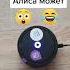 Алиса может