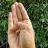Brain Exercise To Boost Your Memory Try This Everyday For 5 Min Trimukyoga