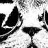 Minimal Techno House 2014