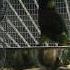 Разборки Попугаев Зоопарк Роев Ручей Красноярск Disassembling Parrots Zoo Krasnoyarsk 4K