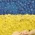 Виктория Шевченко Украина Киев Участница Мисс Пантеон Финанс 2014