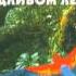 Птицы в дождливом лесу Звуки природы без музыки