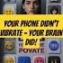 Why You Feel Phone Vibrations That Aren T Real Phantom Vibration Syndrome Facts Trending Shorts