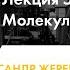 Лекция Молекулярная экология курса Современная масс спектрометрия давайте взвесим Сколтеха