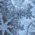 Music Dramatically CHANGES Structure Of Water