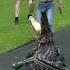 Crocodile Charges At Terri And Robert Irwin Crocodile Animals Zoo Wildlife Australia