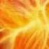 Mike Oldfield Embers