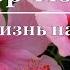 Фёдор Тютчев Чему бы жизнь нас не учила