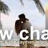A New Chapter The Start Of Long Distance Life Between Amsterdam And The Cayman Islands