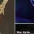 Acheron Black Swan With Silent Hunter Equation Protocol 6 Full Run Divergent Universe
