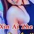 DJ版 我曾用心爱着你 Wo Ceng Yong Xin Ai Zhe Ni 潘美辰 ProgHouse Rmx Dj抖音版