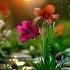 Beautiful Rain Morning Views Haveaniceday To Everyone With Bollywood Lovely Music Song