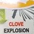 Snus Reviews 110 111 Clove Explosion White Clove Explosion White Dry