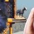 КОЗЕЛ СНОВА В ГОРОДЕ СИМУЛЯТОР КОЗЛА 3 GOAT SIMULATOR