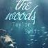 Taylor Swift Out Of The Woods 1989 Tour Extended Outro Version