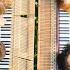 CANTO OSTINATO From Playgroundfestival Weimar LIVESTREAM Mit CO CO COLLECTIVE