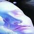 Cosmic Boys Charles D USA Feeling Original Mix