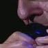 Leonard Cohen In My Secret Life Official Live In London 2008