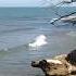 Sea Without Tides Alex Bevan