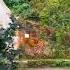 In The Jungle The Mighty Jungle The Lion Sleeps Tonight Jungle Sintra Portugal Travelseries