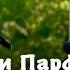 Агни Парфене Марие Дево Чистая Архимандрит Никодимос Каварнос