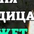 Сегодня ПРОЧТИ молитву БОГОРОДИЦЕ Нечаянная Радость Молитва Богородице убережет от беды и горя