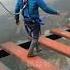 Bungee Jumping Adventure Shorts Bungeejumping Adventure