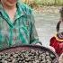 Husband Followed His Wife To The Field And Accidentally Discovered A Field Snail Happy Family