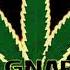 Mr Vegas Ft Alozade Hollow Point Under Mi Sensi Rod Gnarley Drum Bass Remix