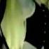 Rain Bi Rainism MV HD