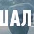 Реклама Why Not пиво Уай Нот Кашалот Реклама алкоголя