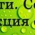 Строение ротовой полости Состав и функция слюны