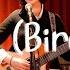 M V 예결밴드 Yegyul Band 새 Bird