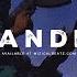 Dancehall Riddim Instrumental 2025 BANDIT
