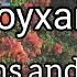 SHIT SHIT SHIT СОУХАЙ DRUMS AND BASS