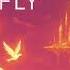 Hamsa Beat Fly Deep House Vocal House Nu Disco Chillout