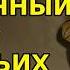 БЕЗУМНАЯ ЛОГИКА МИРА КОШАЧЬИХ