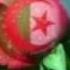 في ليلة عرسك