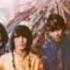 Steppenwolf Desperation