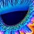 Explosive Colors 16K HDR 120 FPS Video Dolby Vision 4K 8K TV
