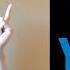 Yello Point Album Review Catalog In Brief
