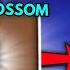 HOW TO GET CANDY BLOSSOM In Grow A Garden