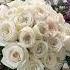 Make A White Rose Bouquet Flowers Shortvideo Shorts Wedding