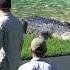 Robert Irwin Demonstrates How Fast Crocodiles Are On Land Australia Zoo