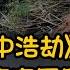 東航MU5735空難 飛機為何會垂直下墜 空中浩劫 還原真實原因 我不是外星人W Channel