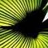 Time House Mix Antaeus
