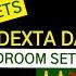 450 MEETS DEXTA DAPS BEDROOM SETTINGZ 2024 DANCEHALL MIX DJ KINGTOWWA