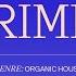 Millerusha Live Set From Crimea More Spa Resort 18 11 21 Organic House